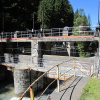 VERTIC's guardrails on dam