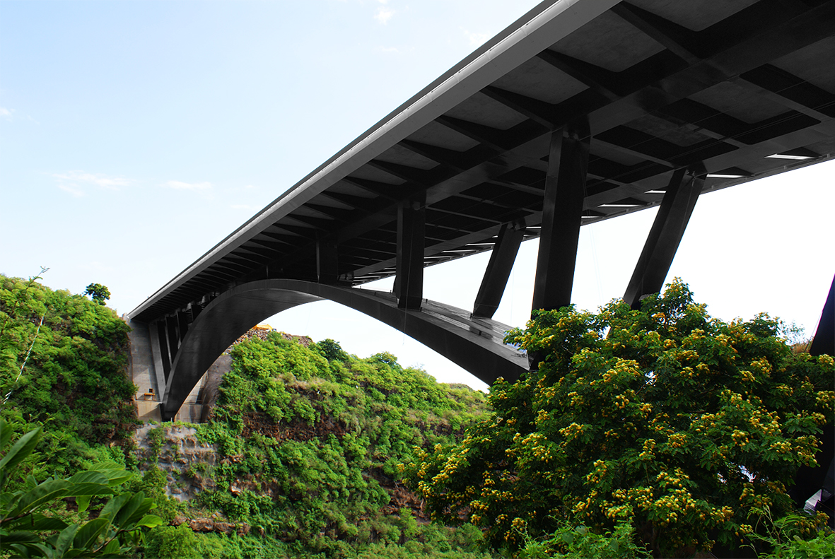 VERTIC's COMBILIGNE inclined lifeline system on the Pont de la Ravine Fontaine's bridge on the Reunion Island